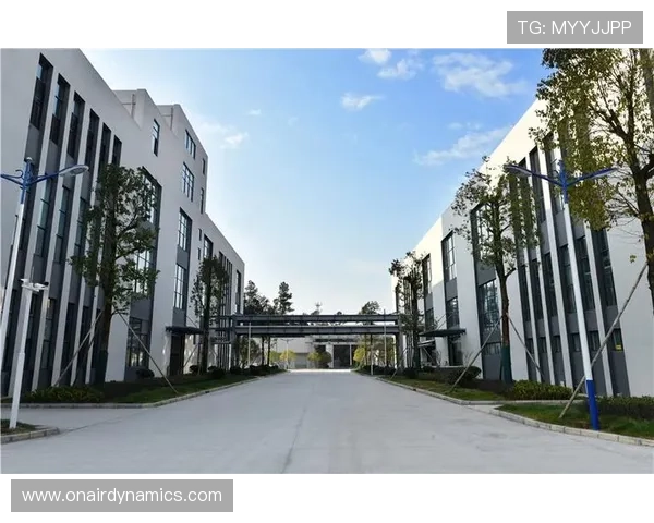 凯发集团网站最新官方平台全面介绍与使用指南 凯发集团网站最新官方平台全面介绍与使用指南