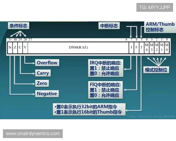 K8官方入口官方入口入口指南，详细介绍登录步骤与注意事项